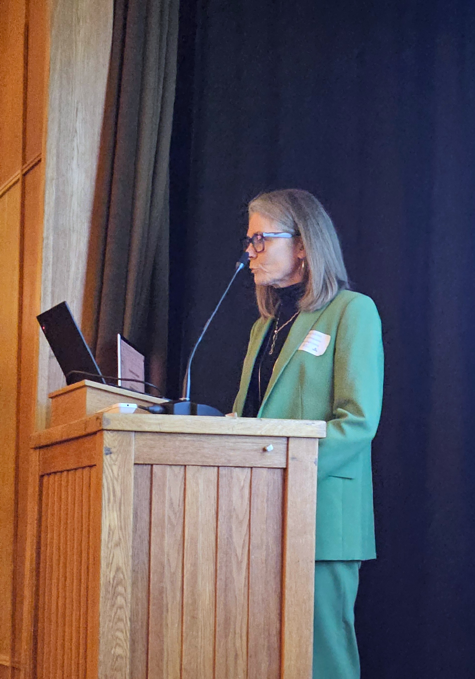 Arna Ír Gunnarsdóttir verkefnastjóri farsældarráðs Suðurlands kynnir verkefni og hlutverk ráðsins