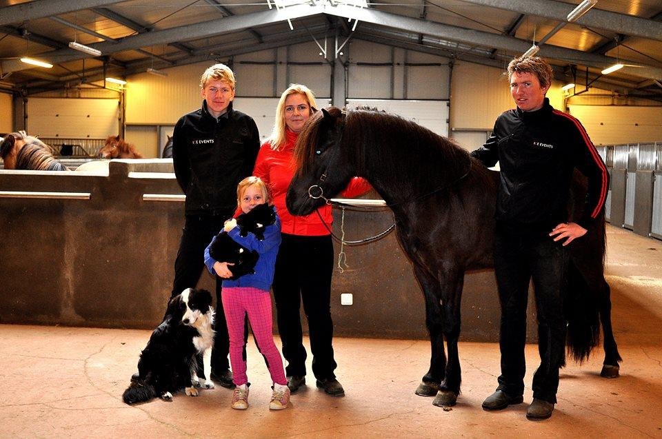 Icelandoc Horse World - Sýning