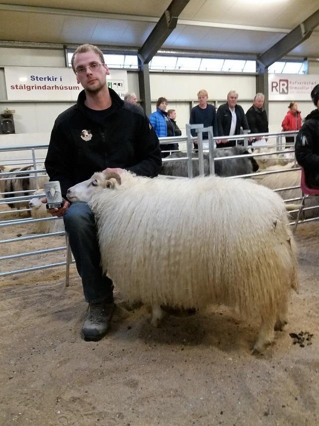 Dagur sauðkindarinnar