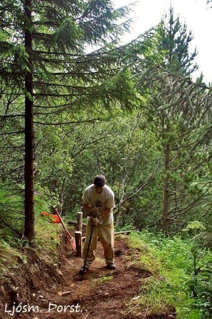 Völvuskógur við Héraðsskólann á Skógum