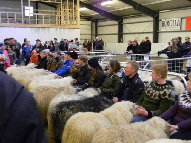Dagur sauðkindarinnar í Skeiðvangi Hvolsvelli 18. okt.