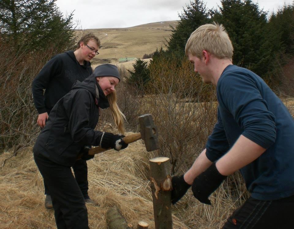 Nemendur Hvolsskóla koma að stígagerð í Tunguskógi