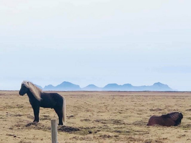 Mynd: Hafdís María Jónsdóttir