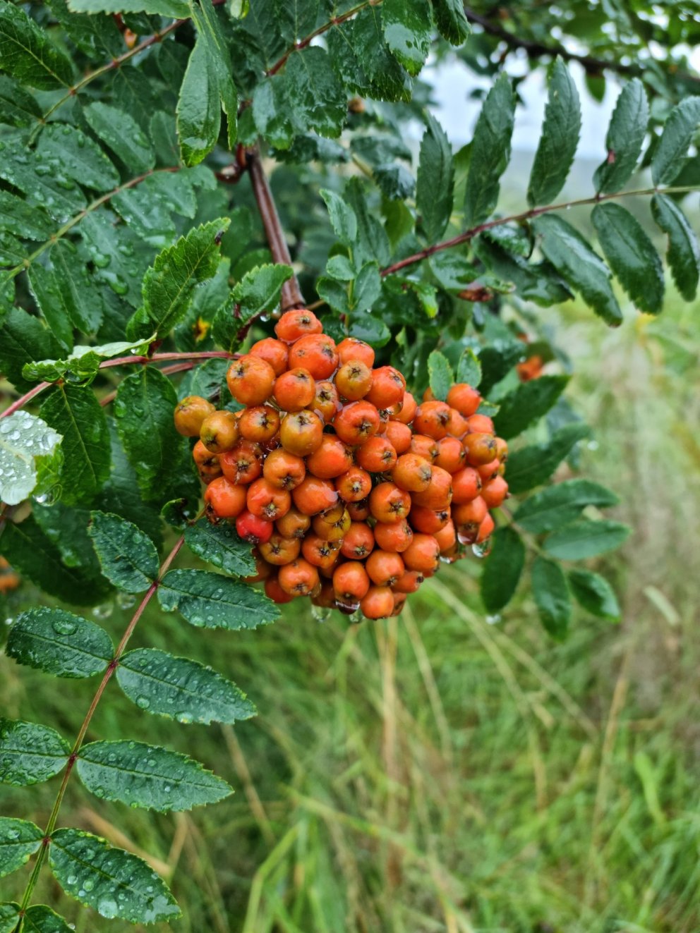 Fundarboð 285. fundur sveitarstjórnar Rangárþings eystra