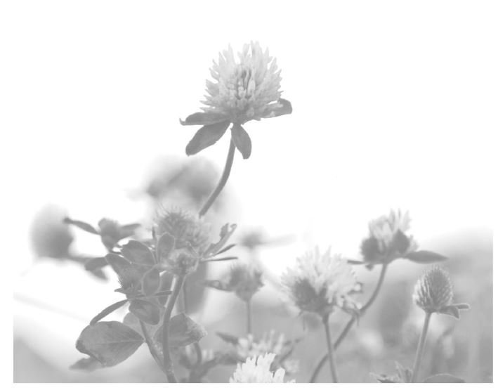 Auglýsing um skipulagsmál í Rangárþingi eystra - apríl 2023