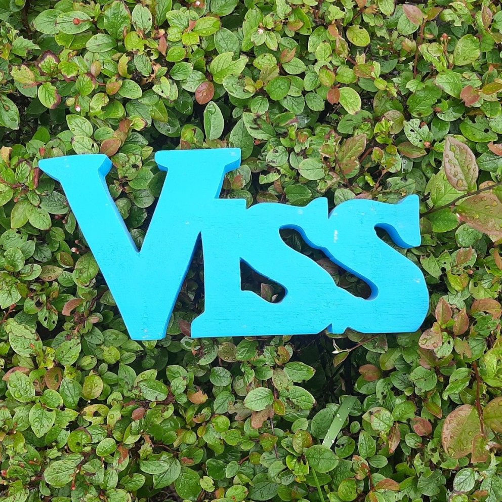 VISS leitar að leiðbeinanda