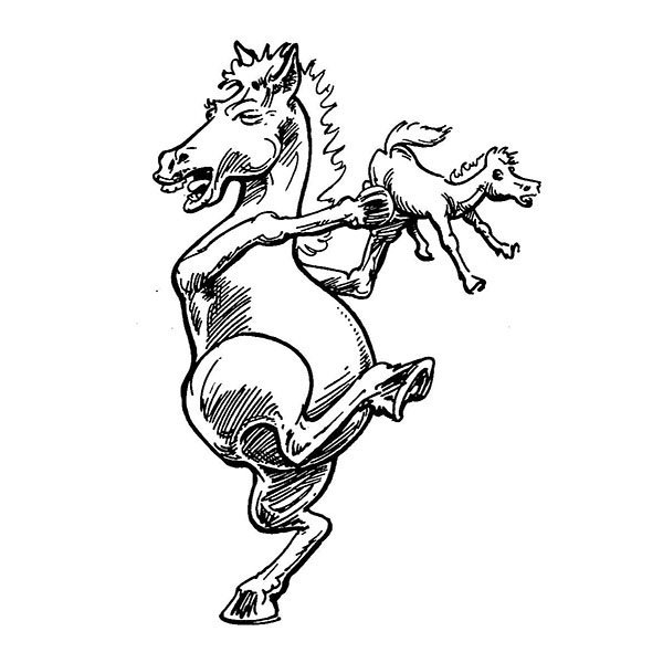 Spennandi námskeið í hestamennsku hjá Stakkholti EST Hvolsvelli