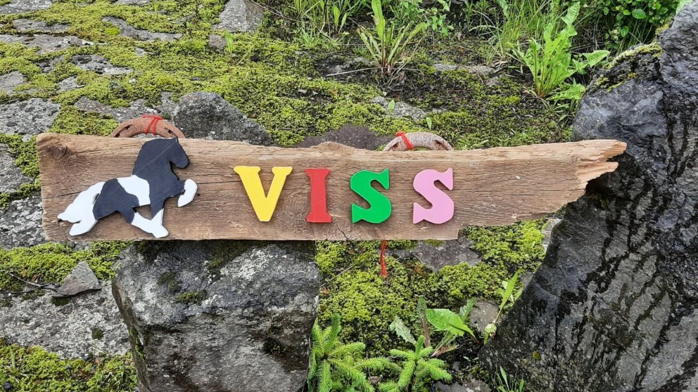 VISS, vinnu og hæfingarstöð á Hvolsvelli leitar eftir leiðbeinanda