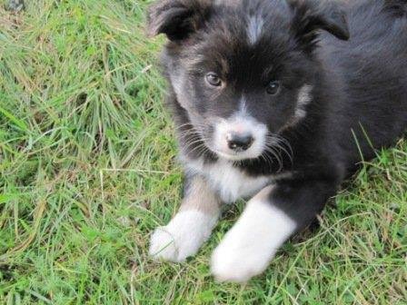 Varðandi umhverfismál til gamans og ábendingar