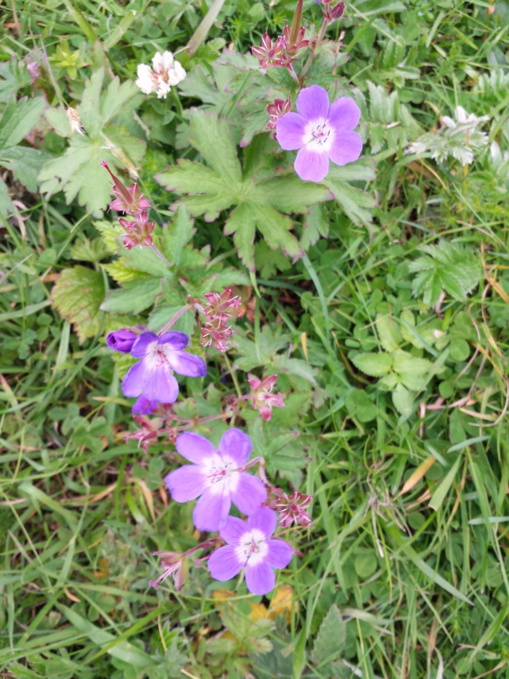 179. fundur Byggðarráðs Rangárþings eystra