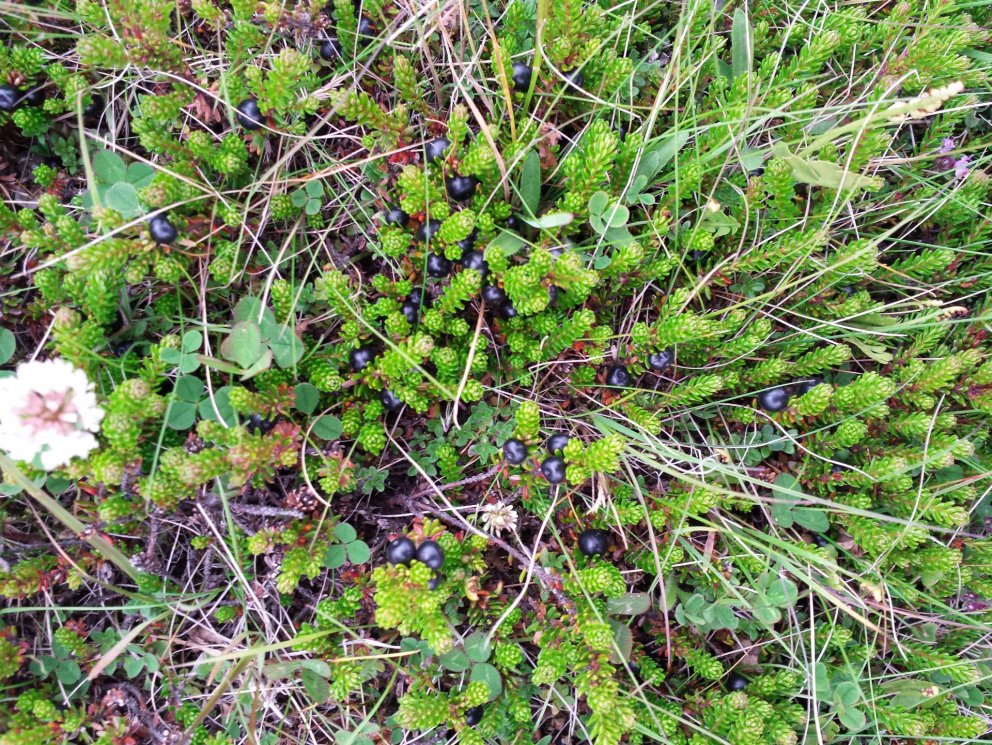 Fundarboð 256. fundur sveitarstjórnar Rangárþings eystra