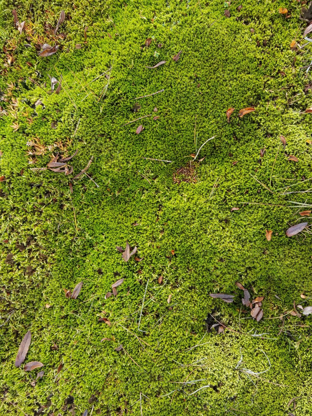 Fundarboð: 180. fundur Byggðarráðs Rangárþings eystra