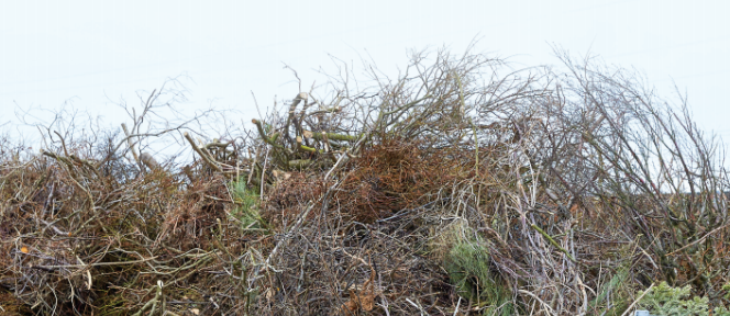 Losun garðaúrgangs á Hvolsvelli