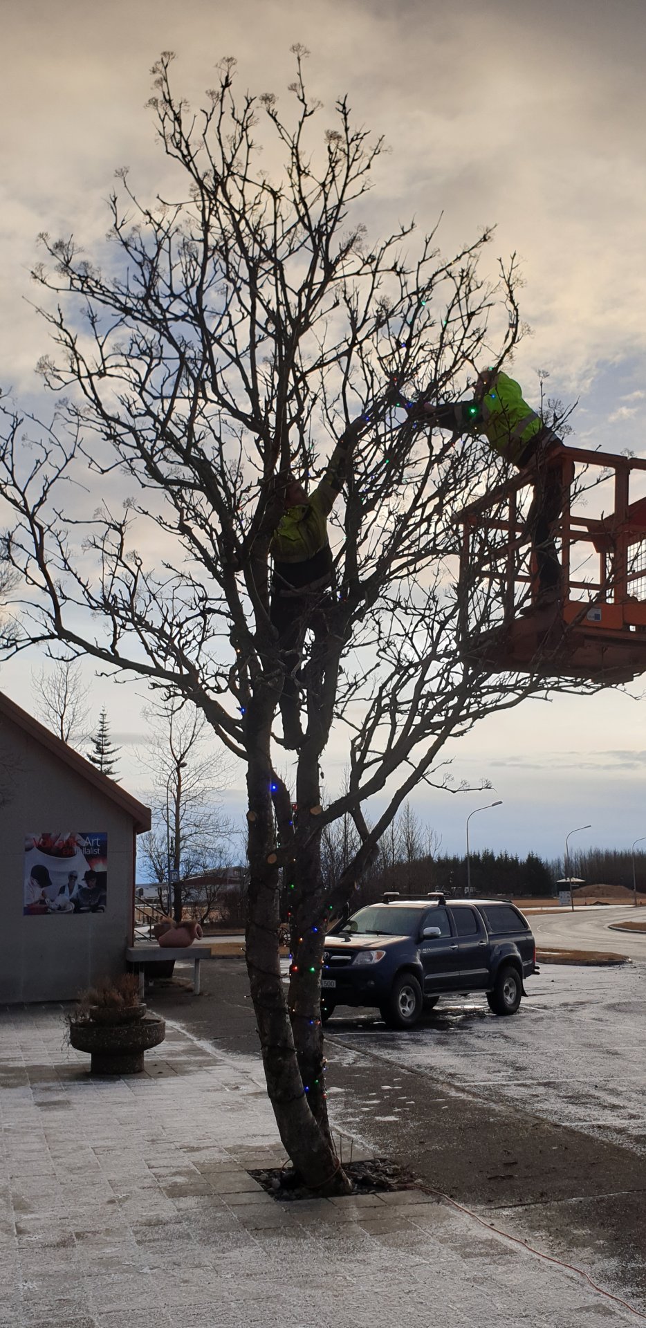 Ábending frá umhverfis- og garðyrkjustjóra