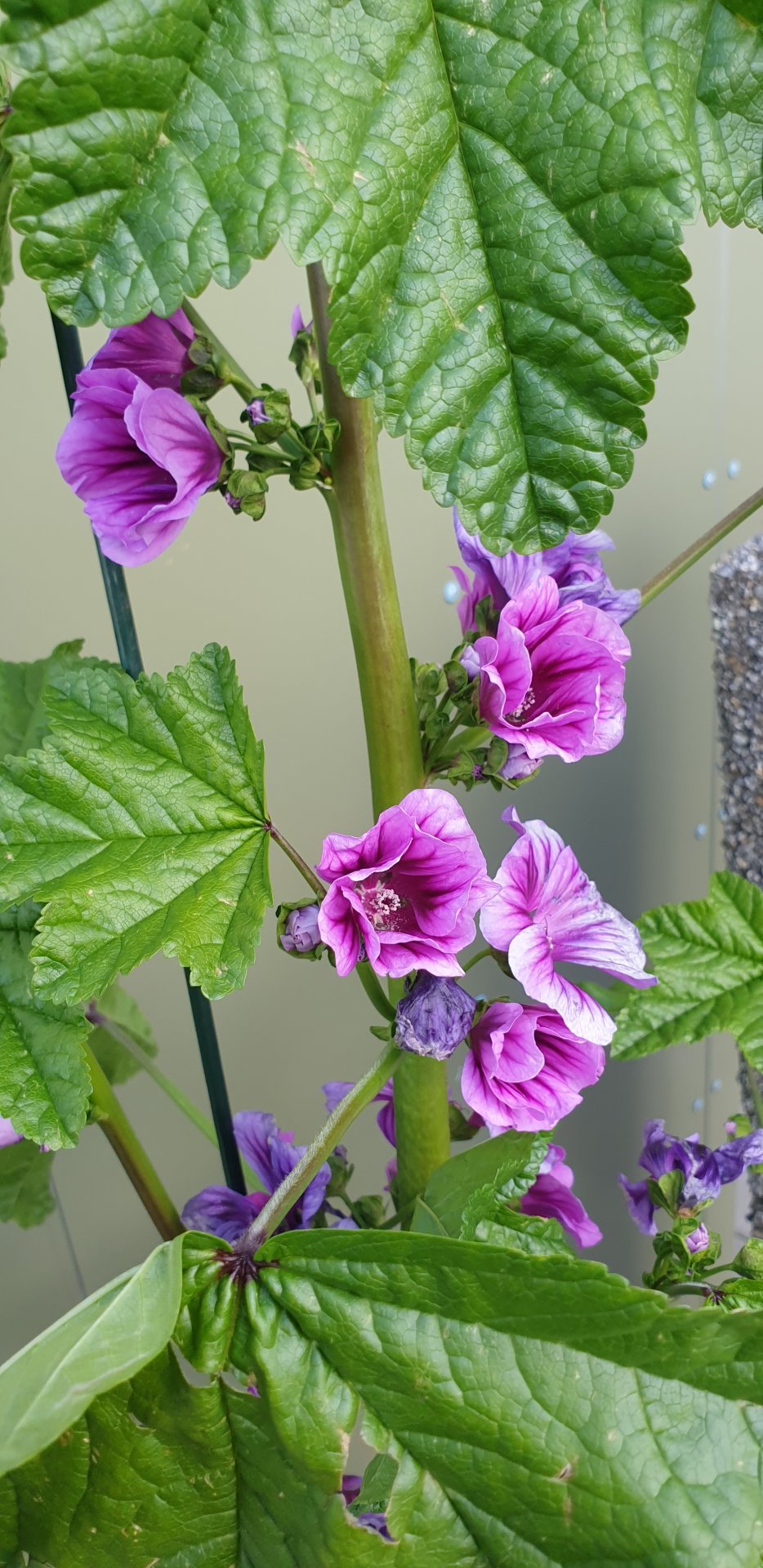 Fundarboð: 213. fundur Byggðarráðs