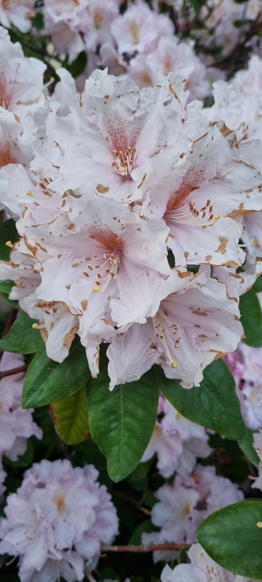 Fundarboð 248. fundur Byggðarráðs