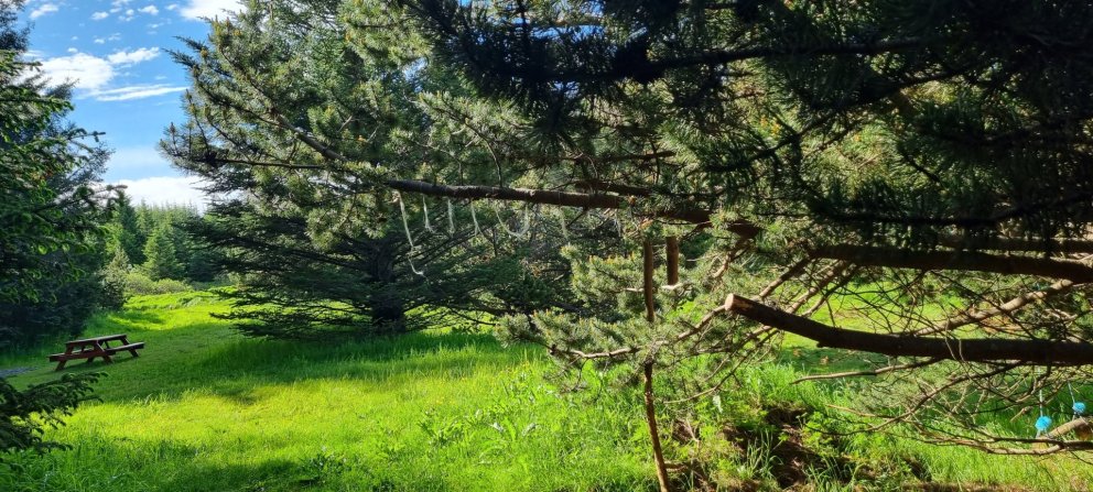 Fundarboð 305. fundur sveitarstjórnar