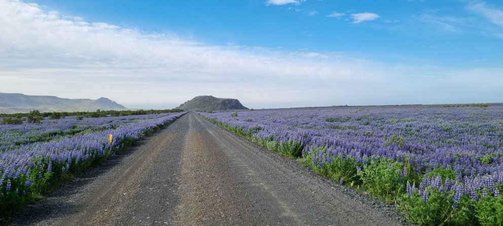 Fundarboð 311. fundur sveitarstjórnar