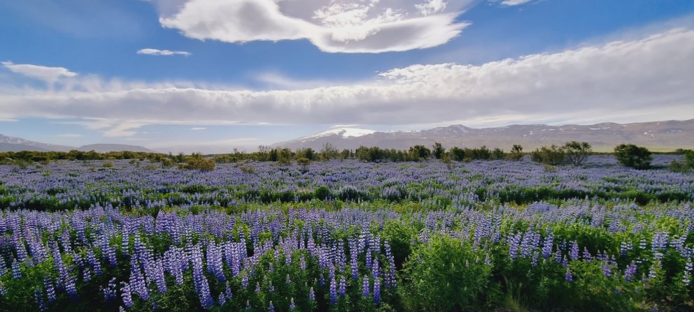 Fundarboð 217. fundur Byggðarráðs Rangárþings eystra