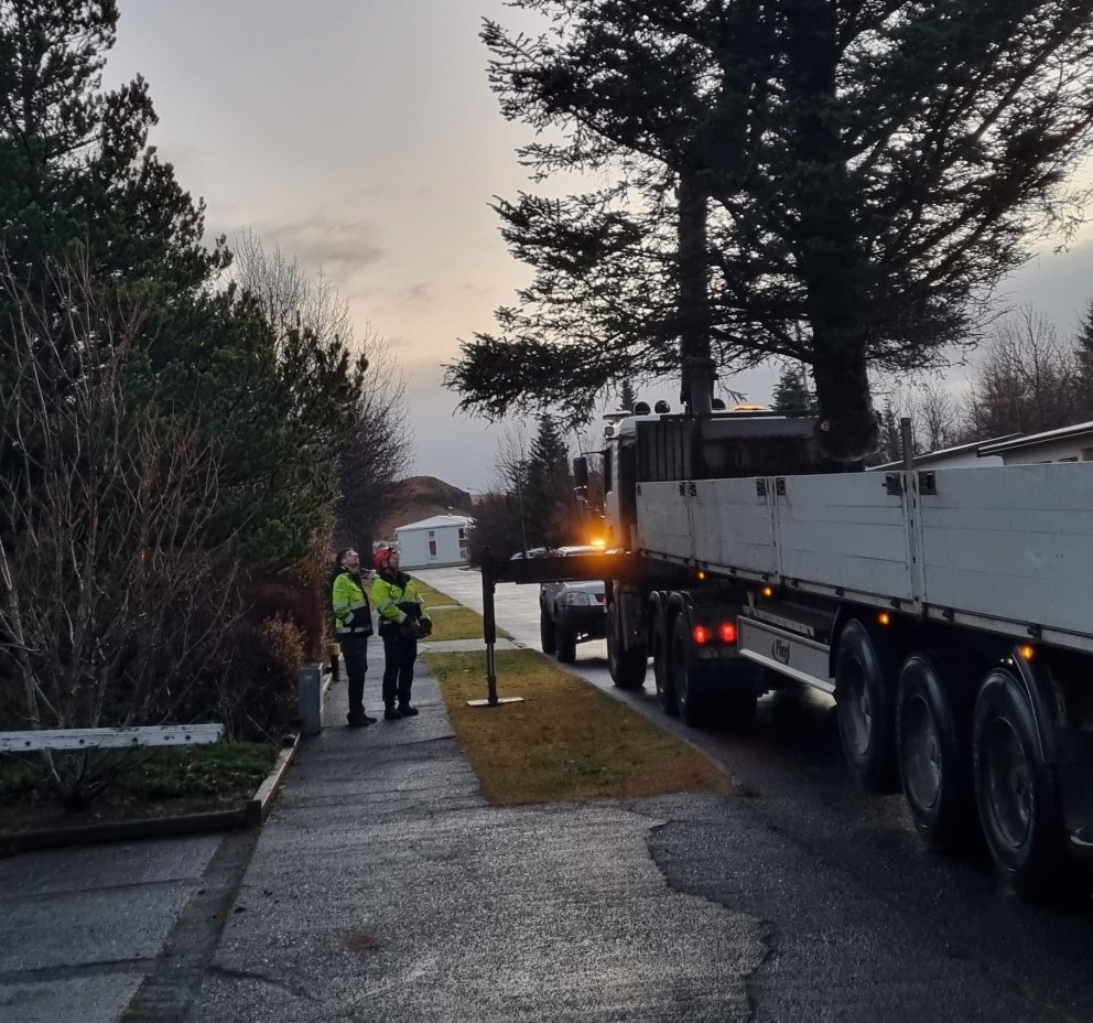 Miðbæjarjólatréð er komið við Landsbankann