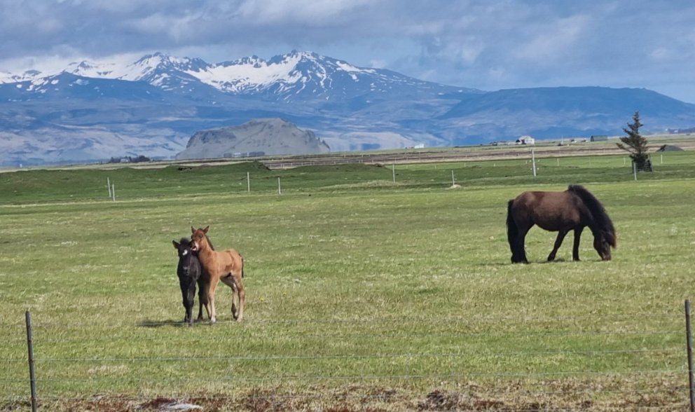 Fundarboð 238. fundur Byggðarráðs