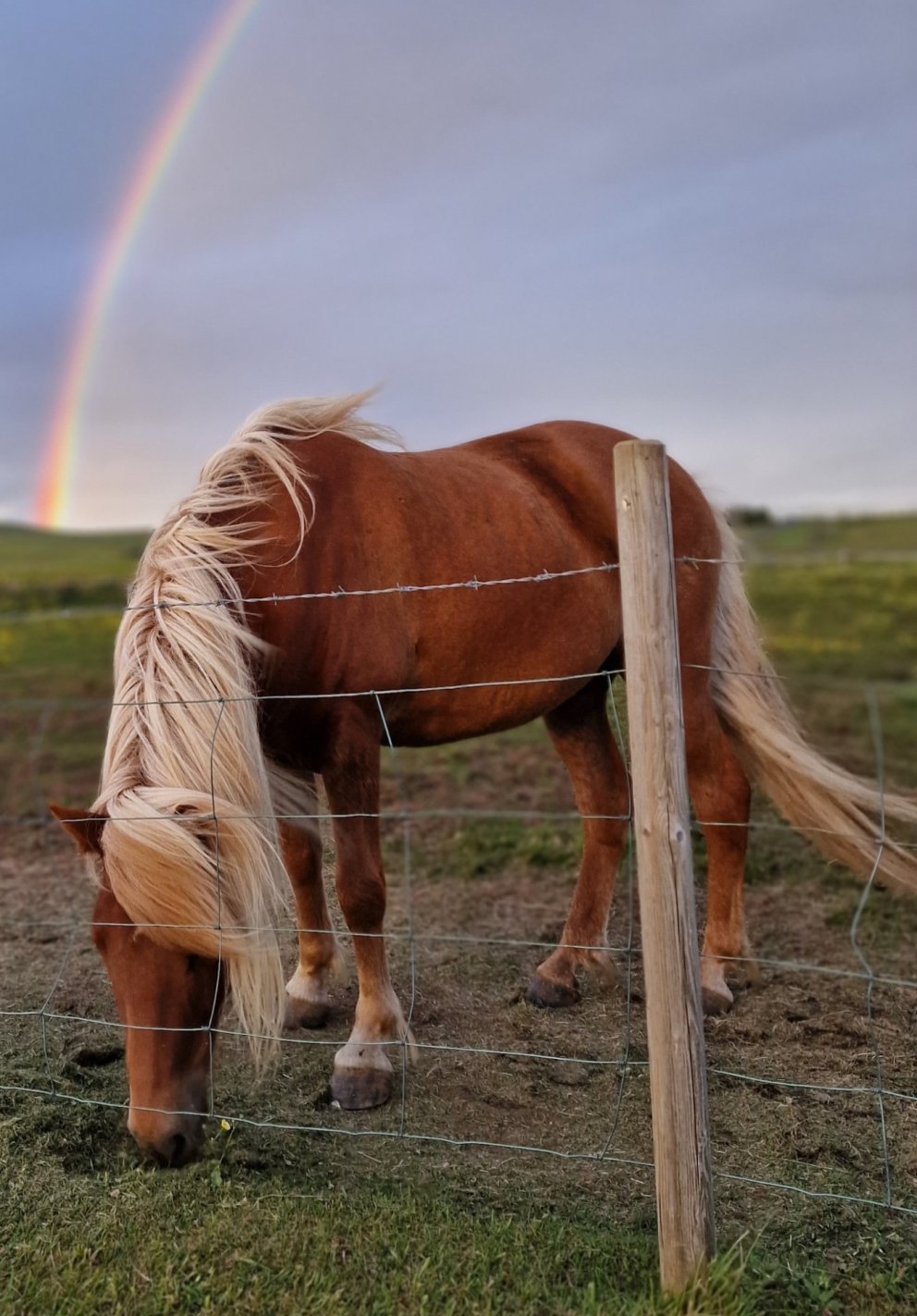 Fundarboð - 236. fundur byggðarráðs Rangárþings eystra