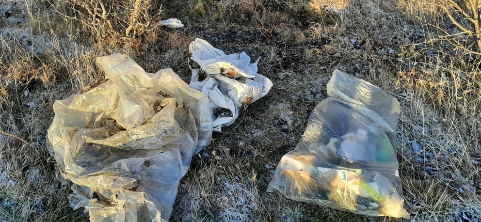 Pössum upp á sorpið okkar