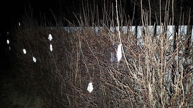 Vasaljósadagur í Leikskólanum Örk