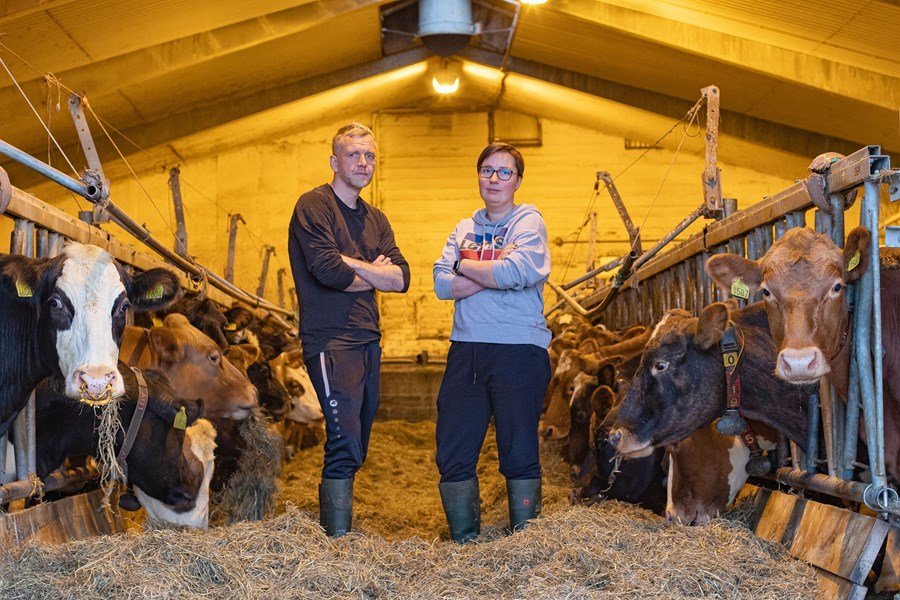 Stóra-Mörk 1 var afurðahæsta kúabúið árið 2023