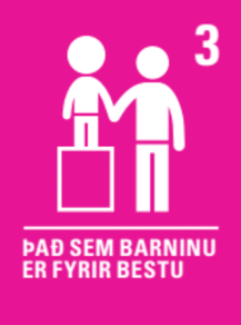 3. grein barnasáttmála Sameinuðu þjóðanna