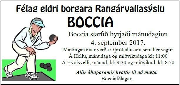 Boccia í íþróttahúsinu á Hvolsvelli