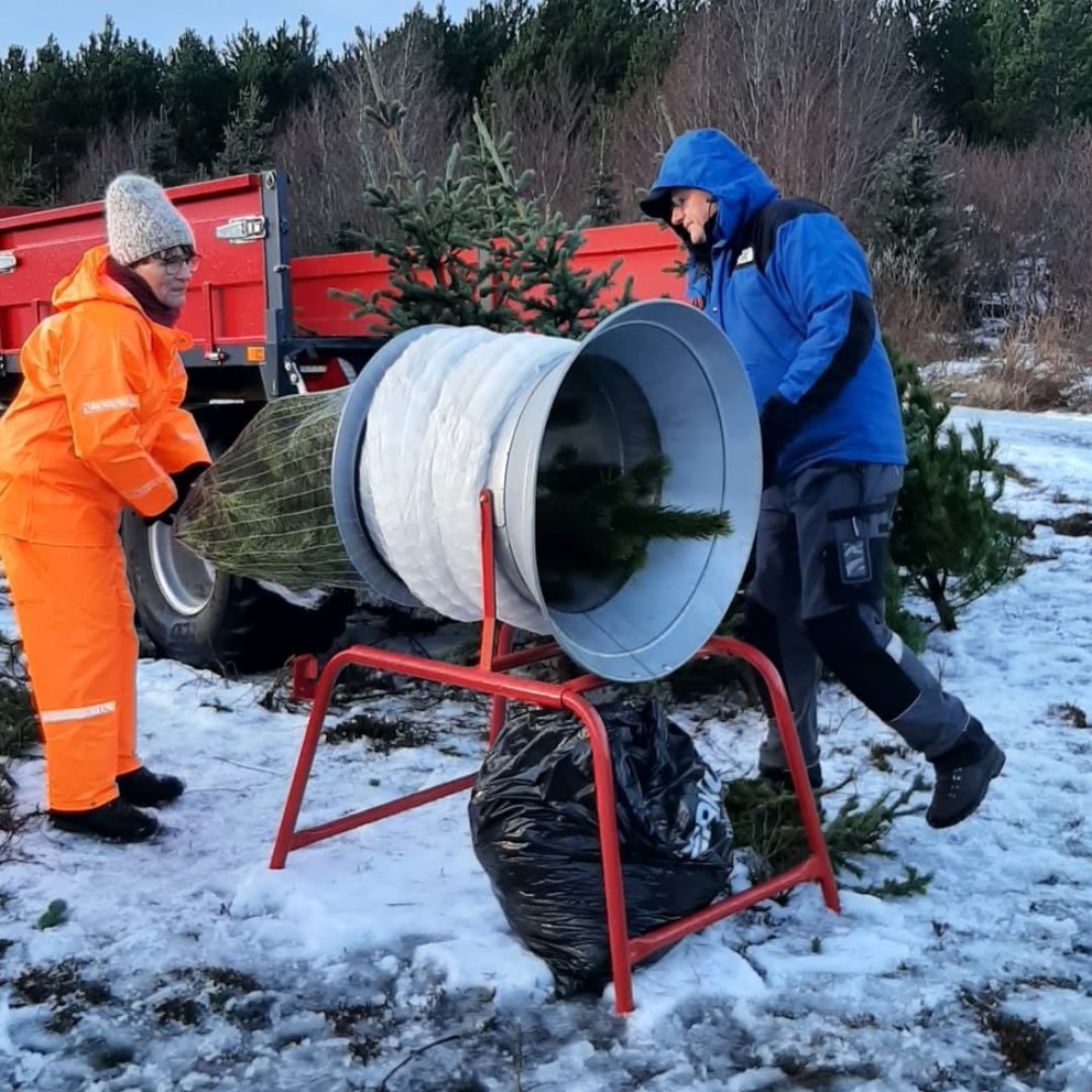 Jólatrjáasala Skógræktarfélags Rangæinga