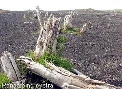 JarðvangsráðstefnaATH. breytingar á dagskrá