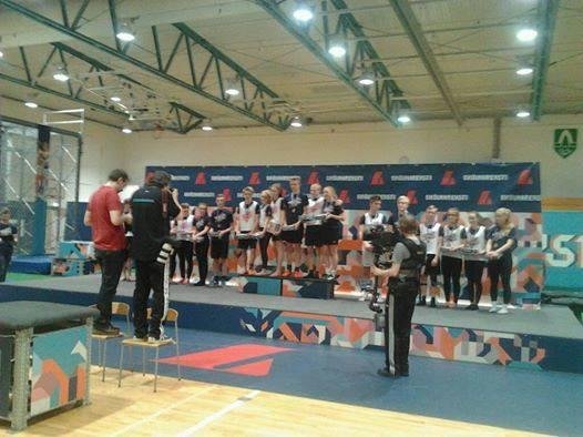 Hvolsskóli sigraði Suðurlandsriðil í Skólahreysti