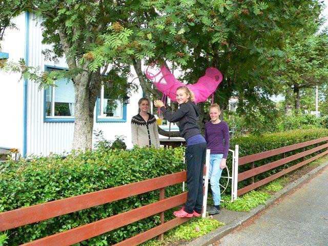 Litadýrð á Hvolsvelli