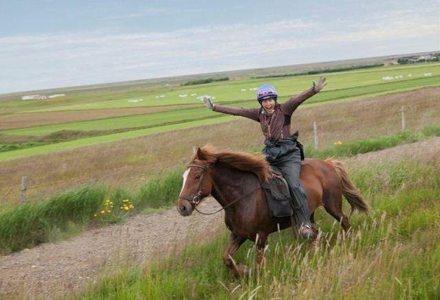 Ferðaþjónustan í Skálakoti