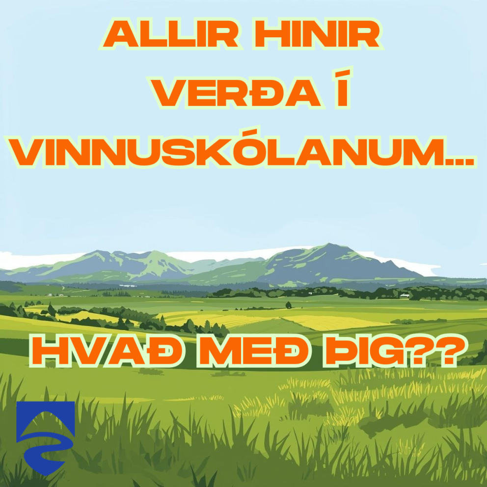 Vinnuskóli Rangárþings eystra sumarið 2026