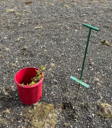 Bændur á Butru fyrstir í samstarf við Kolefnisbrúna