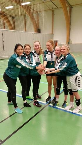 Héraðsmót drengja og stúlkna  í blaki