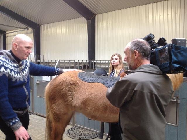 Knapamerki í Hvolsskóla