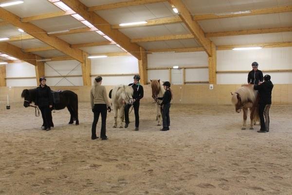 Hestamenn framtíðarinnar