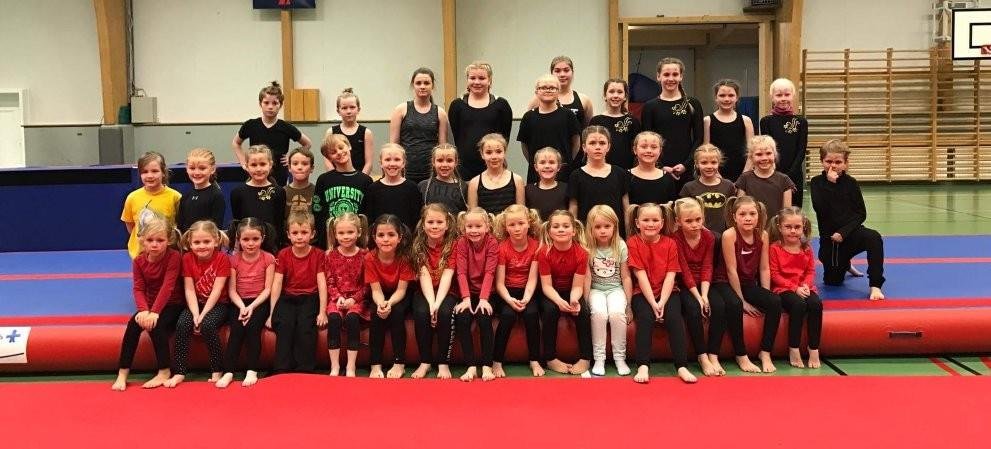 Jólasýning fimleikadeildar Dímonar