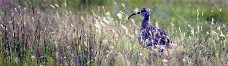 252. fundur sveitarstjórnar