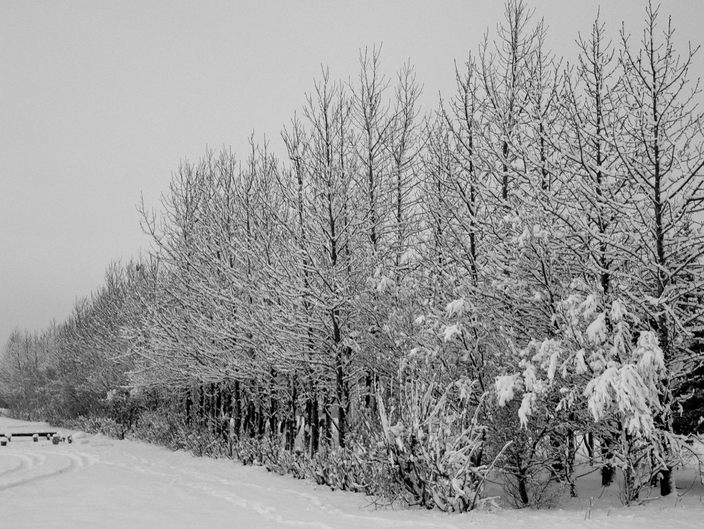 Fundarboð: 258. fundur sveitarstjórnar Rangárþings eystra