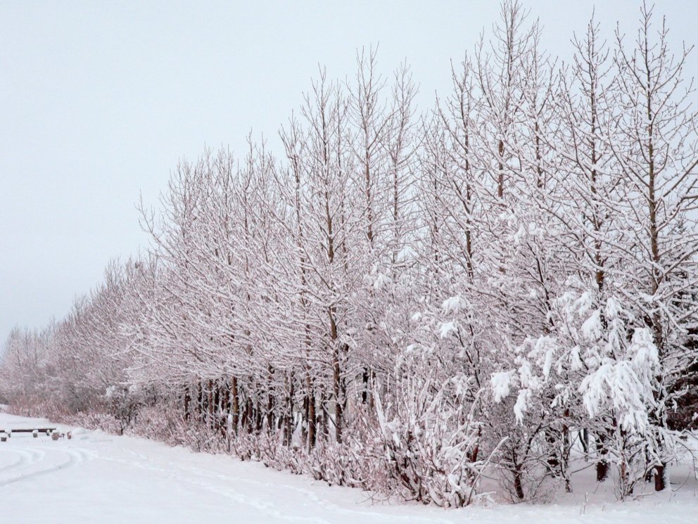 Fundarboð 225. fundur Byggðarráðs