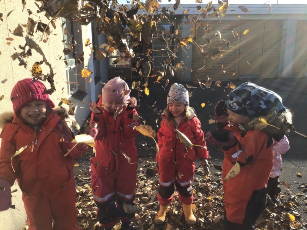 Fréttir frá leikskólanum Örk