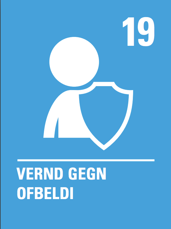 19. gr. barnasáttmála Sameinuðu þjóðanna