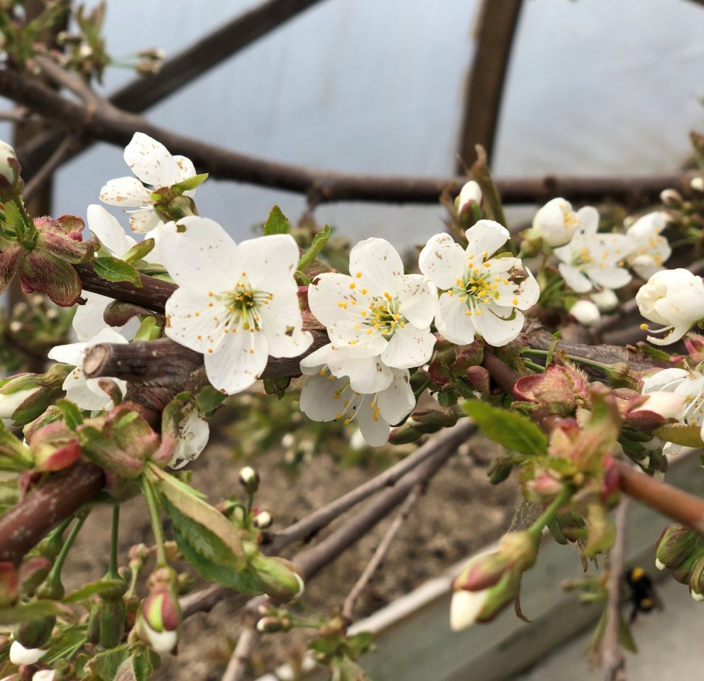 Breytt fyrirkomulag á skrifstofu Rangárþings eystra