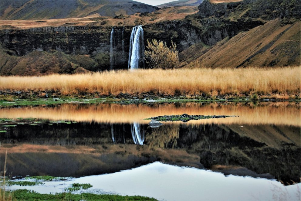 Forstöðumaður mötuneytis