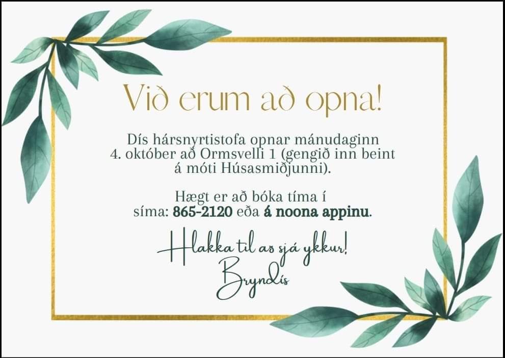 Dís hársnyrtistofa opnar í dag á Hvolsvelli